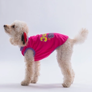 26824-PAWSTAR FUŞYA JUST SMİLE TİŞÖRT 6LI SET (S-M-L-L-XL-2XL)