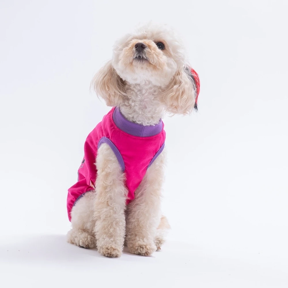 26824-PAWSTAR FUŞYA JUST SMİLE TİŞÖRT 6LI SET (S-M-L-L-XL-2XL)