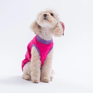 26824-PAWSTAR FUŞYA JUST SMİLE TİŞÖRT 6LI SET (S-M-L-L-XL-2XL)