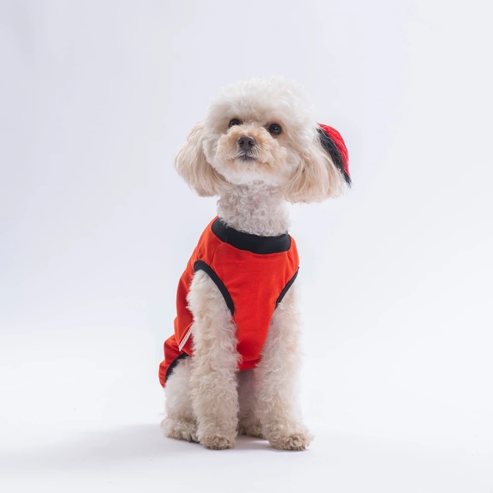 26825-PAWSTAR KIRMIZI JUST SMİLE TİŞÖRT 6LI SET (S-M-L-L-XL-2XL)