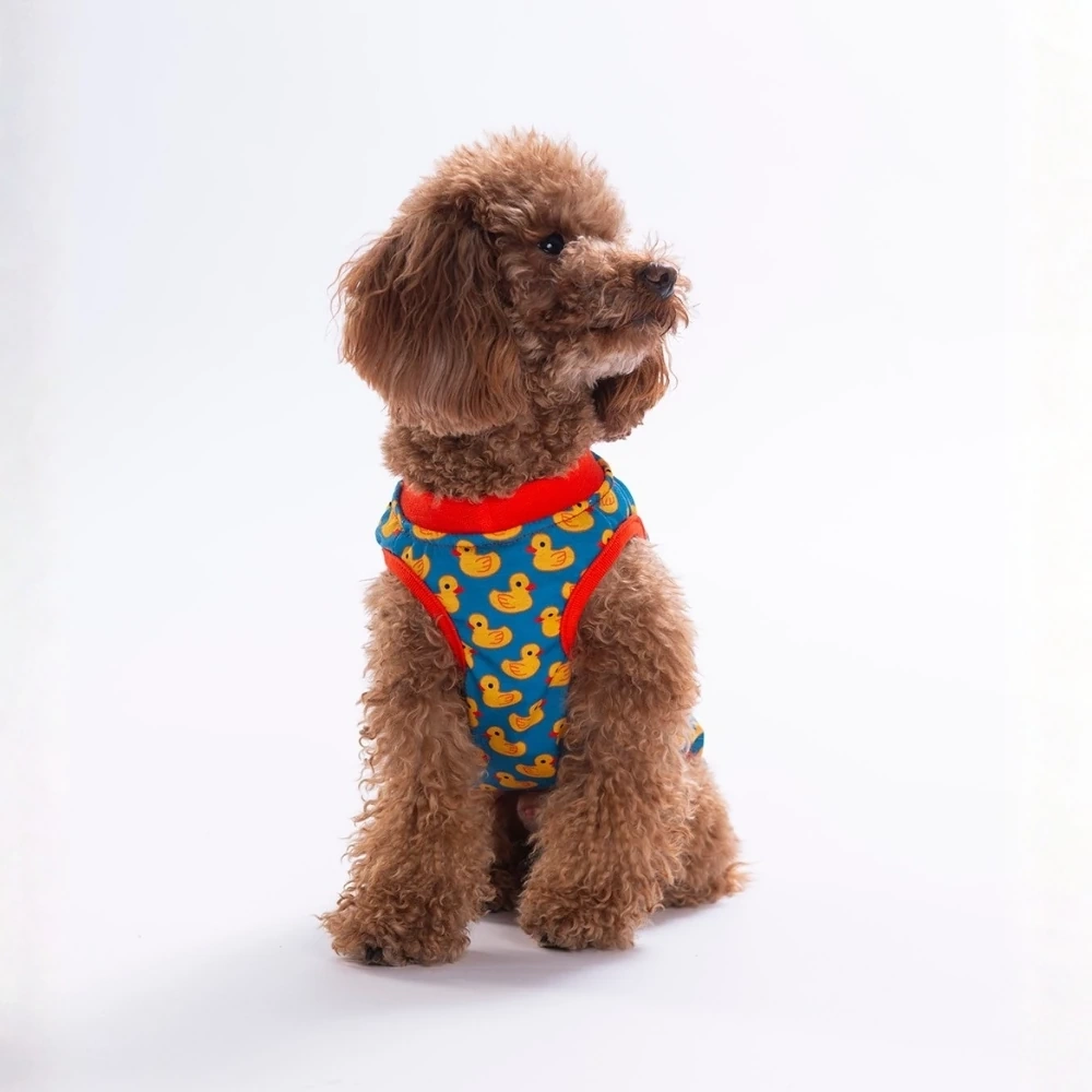 26836-PAWSTAR DUCKS TSHİRT 6LI SET (S-M-L-L-XL-2XL)