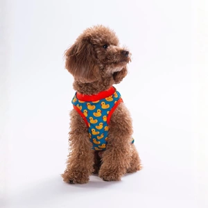 26836-PAWSTAR DUCKS TSHİRT 6LI SET (S-M-L-L-XL-2XL)