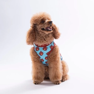 26838-PAWSTAR BEARS TSHİRT 6LI SET (S-M-L-L-XL-2XL)