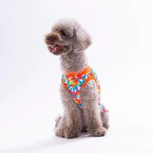 26839-PAWSTAR MOSAİC TSHİRT 6LI SET (S-M-L-L-XL-2XL)