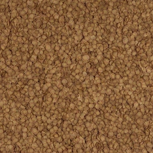 160170-TETRAPRO ENERGY 12GR
