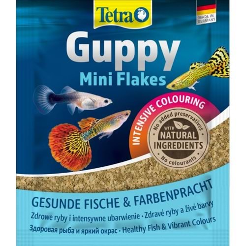 193741-TETRA GUPPY 12GR