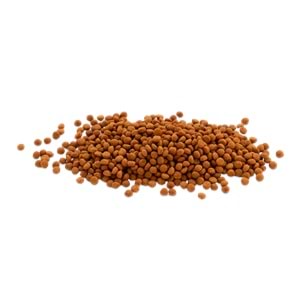 706533-TETRA CİCHLİD COLOUR MİNİ 10 LT KOVA