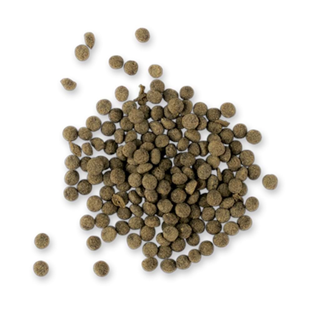 706535-TETRA CİCHLİD ALGAE MİNİ 10 LT KOVA
