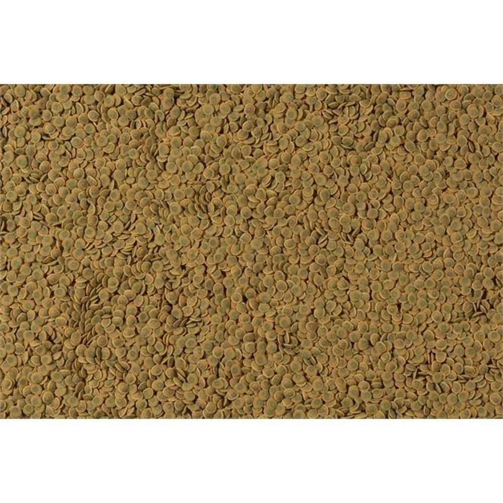 710638-TETRA PLECO VEGGİE WAFERS 1800GR