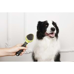 60107099 M-PETS CLICK AND GROOM İNCE TELLİ FIRÇA