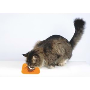60515805 M-PETS LECCA SIVI ÖDÜL MATI TURUNCU (L)