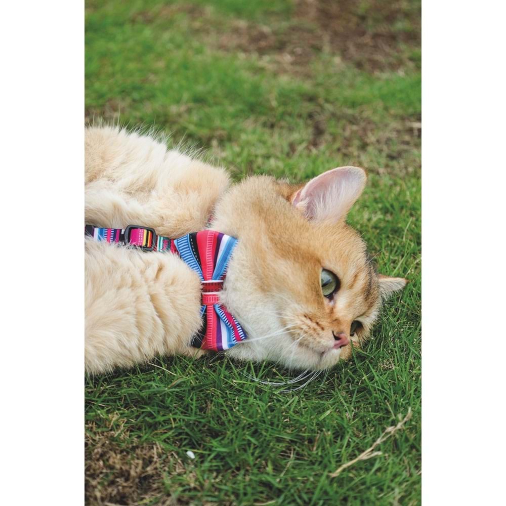 60800399 M-PETS URBAN STYLE JAZZ STRIPES PAPYON (XS-S)