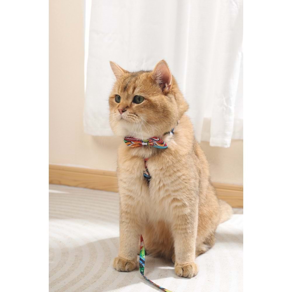 60800799 M-PETS URBAN STYLE FREESTYLE PAPYON (M)
