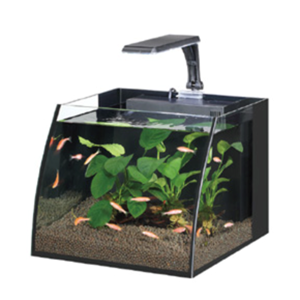 HAQOS BELLY BOX 25 LED AYDINLATMALI NANO AKVARYUM 11L BLACK