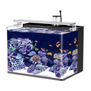HAQOS SEA TANK 38 TUZLU SU AKVARYUMU 30L