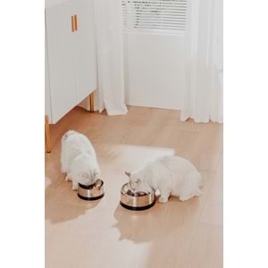 PAWGETHER BOWL 2S METAL MAMA KABI 850ML