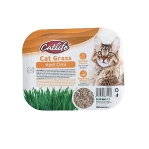 CLCA16-CATLİFE KEDİ ÇİMİ