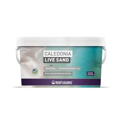 CLP18K-REEFLOWERS CALEDONİA LİVE SAND PURPLE 18KG